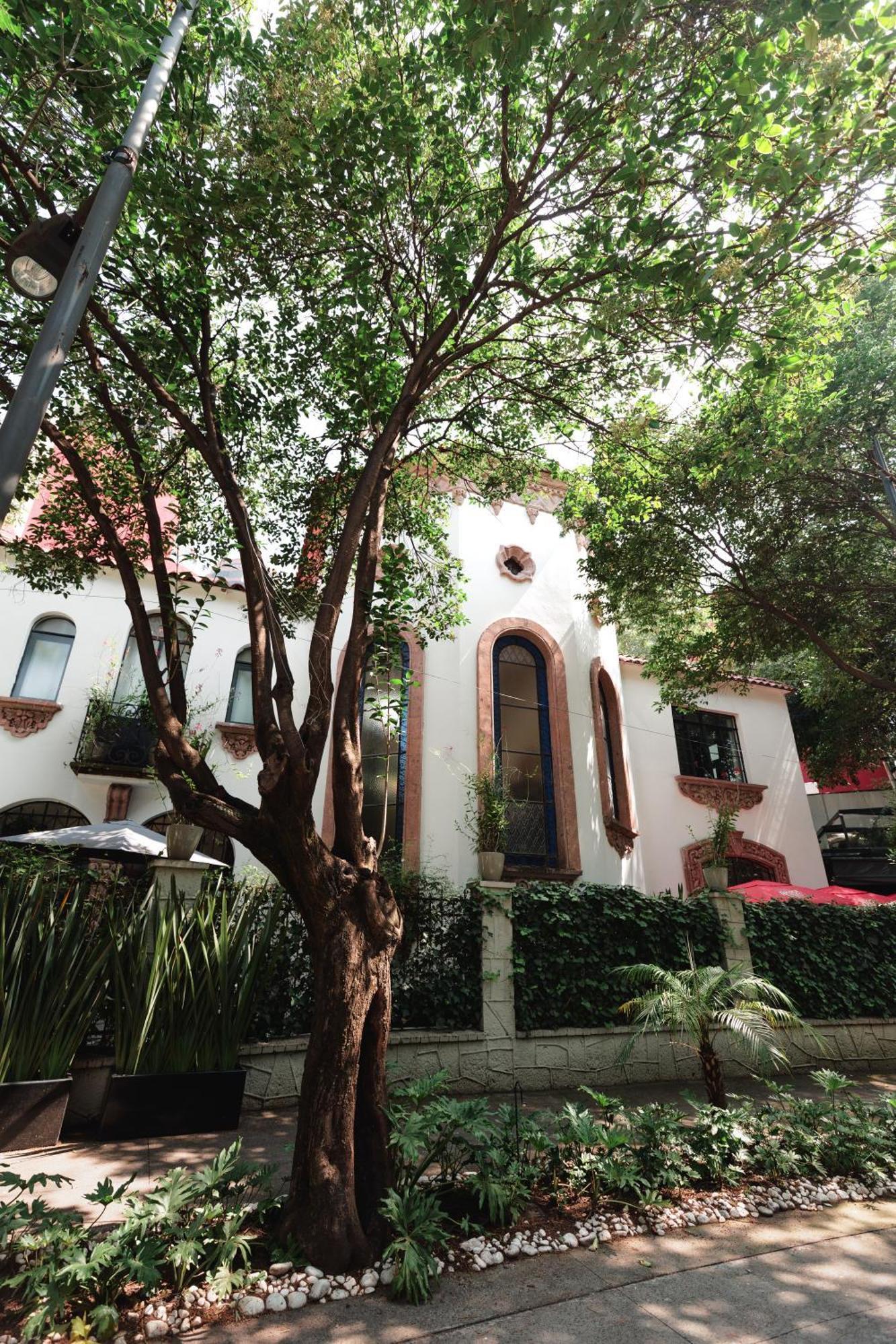 Orchid House Polanco Hotel Mexico City Exterior photo