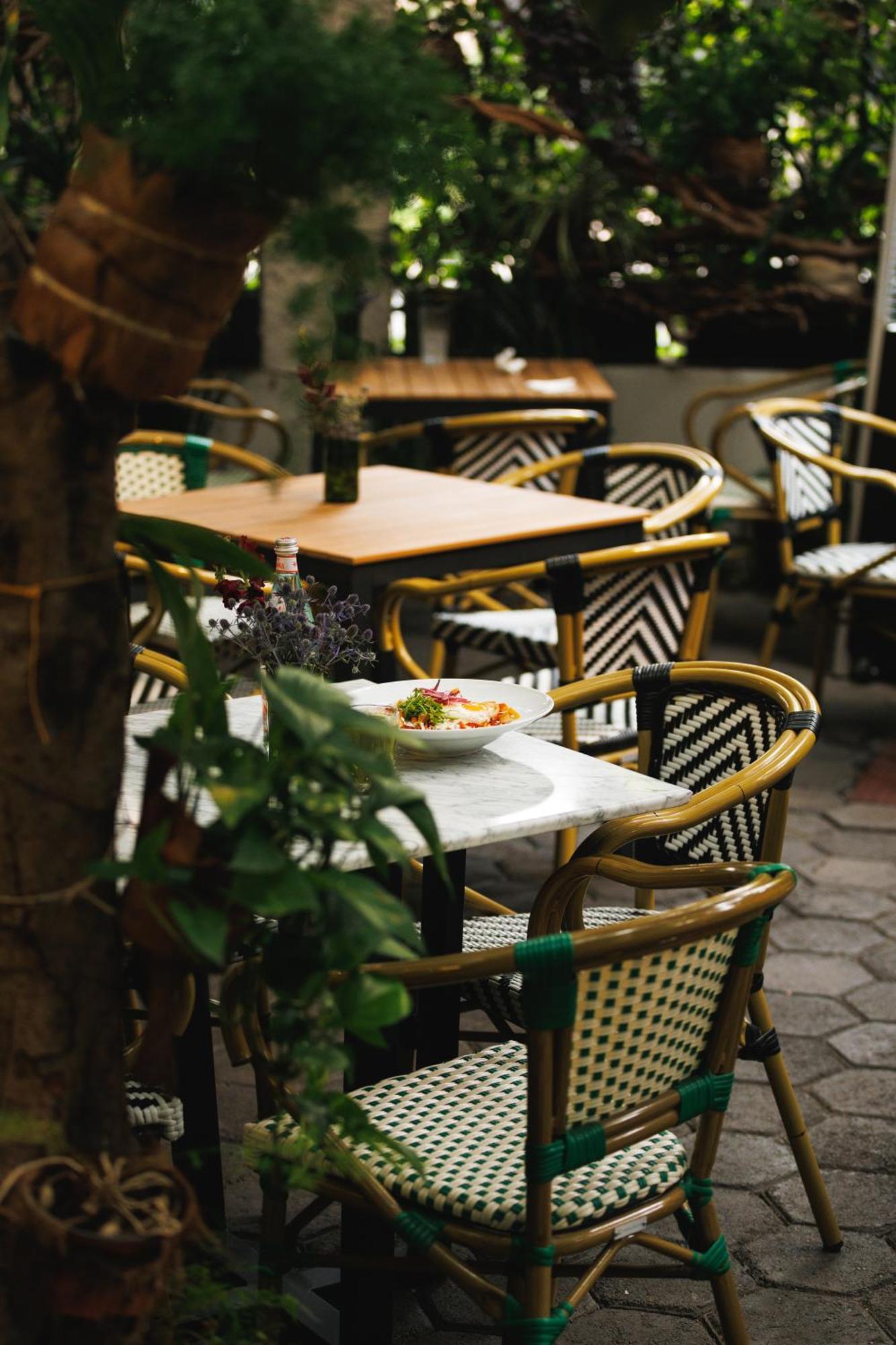 Orchid House Polanco Hotel Mexico City Exterior photo