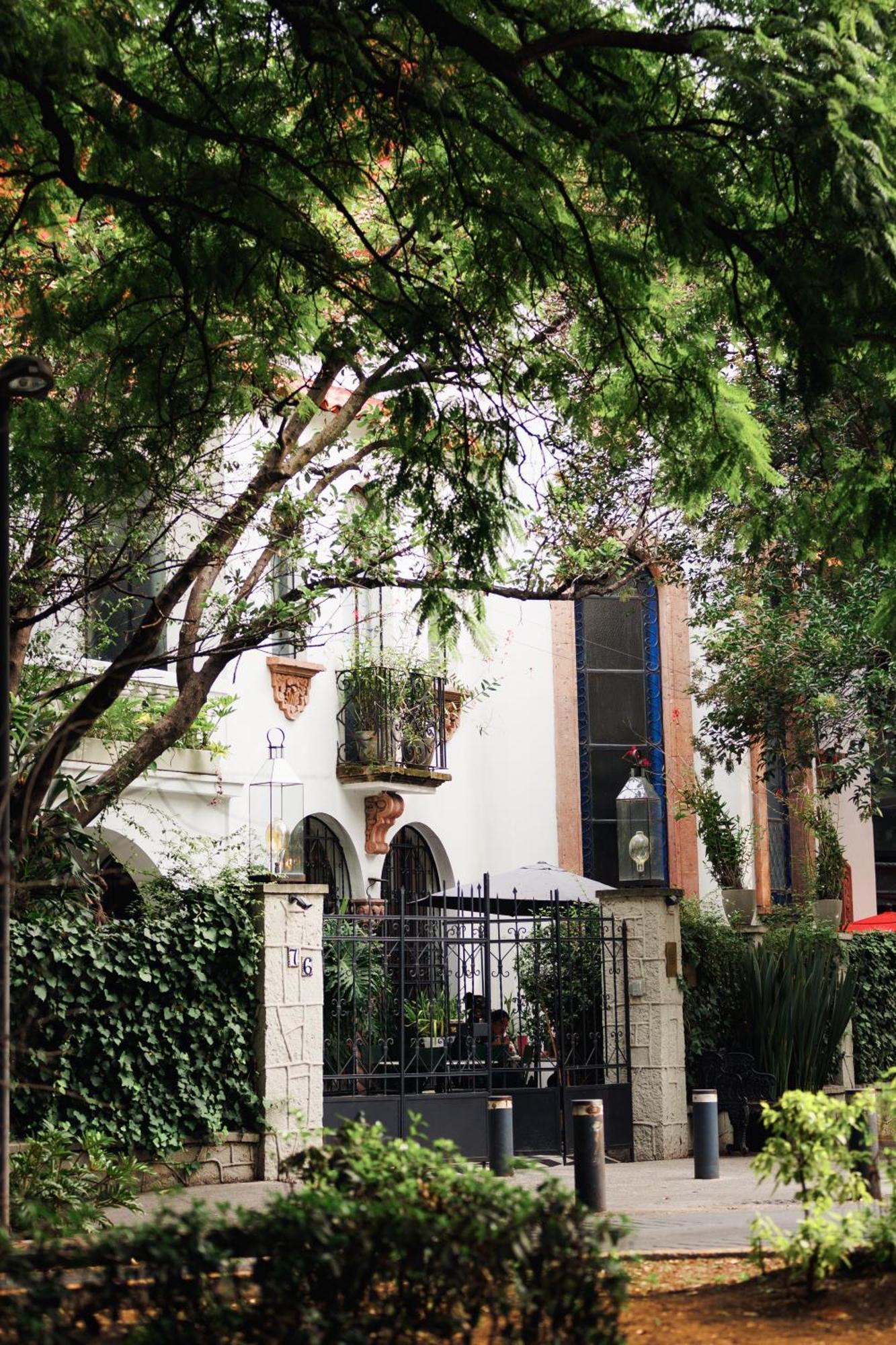 Orchid House Polanco Hotel Mexico City Exterior photo