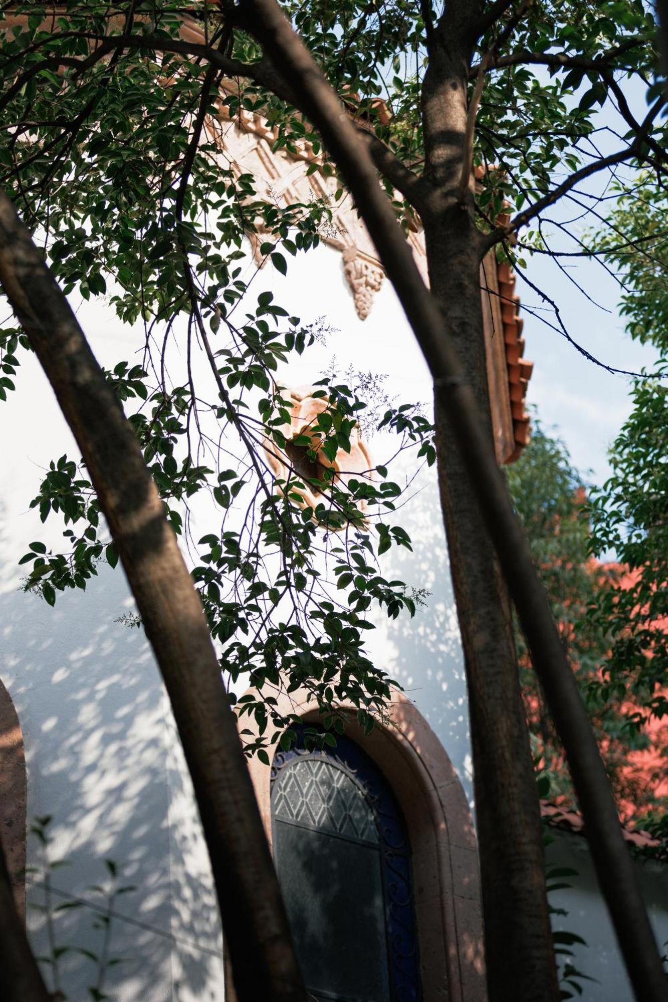 Orchid House Polanco Hotel Mexico City Exterior photo