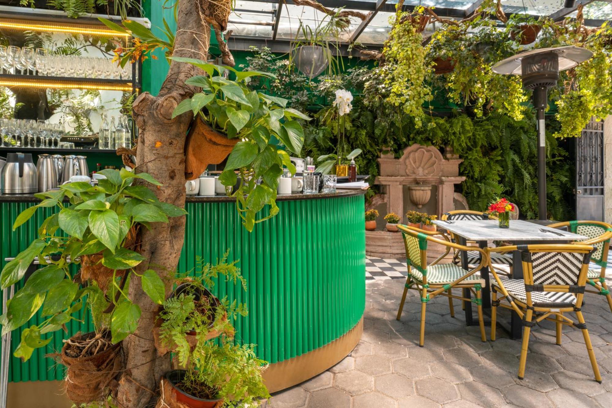 Orchid House Polanco Hotel Mexico City Exterior photo